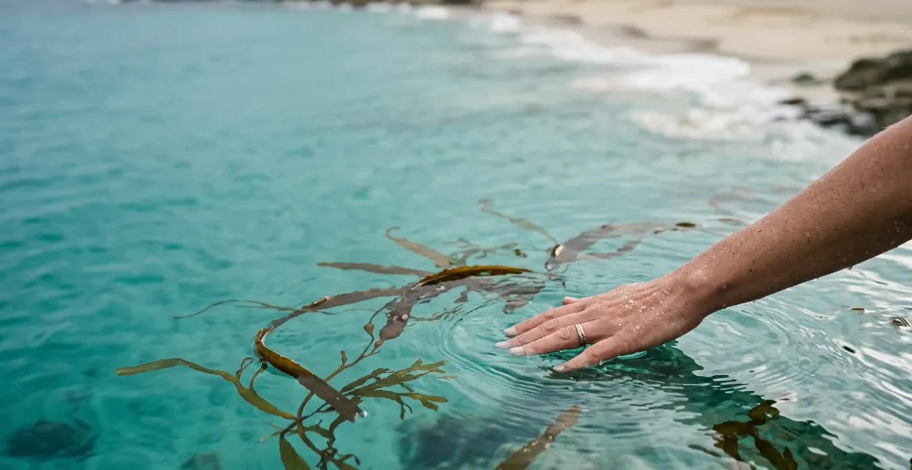 Vue aerienne d'une main feminine touchant delicatement l'eau de mer turquoise cristalline avec des algues naturelles flottant doucement